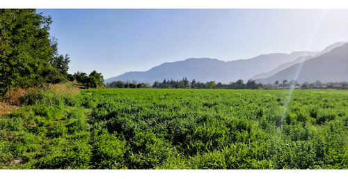 En Venta Terreno Agrícola De 4,5 Hectáreas, En Catemu.