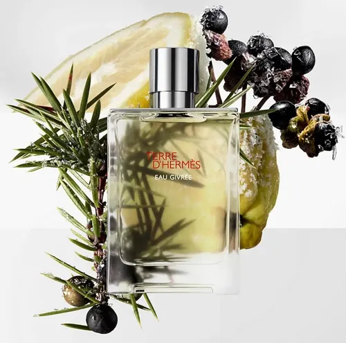 Terre D'hermès Eau Givrée Eau De Parfum 50ml Hermès Paris