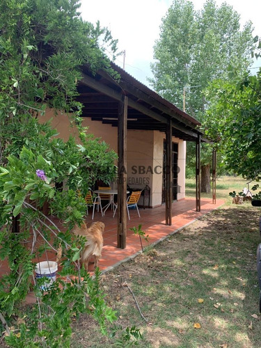 Imagen 4 de 30 de Hermoso Campo De 5 Hectáreas