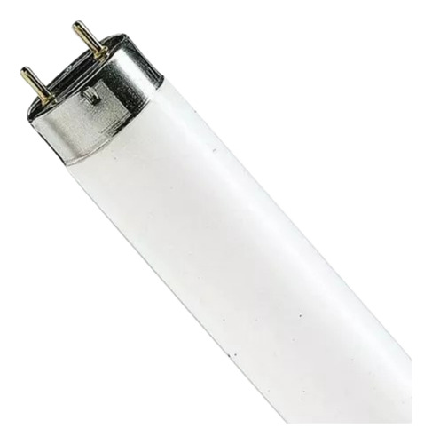 Kit C/20 Lâmpada Philips 15w Bl Uv-a Inseto Mata Moscas 45cm