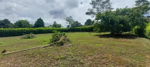 Lote De 1250m2