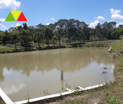 Imagem 18 de 28 de Chacara - Ch00145 - 69489936