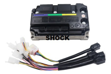 Modulo Controlador 100a Pico 300a Voltz Ev1 ,evs Programavel