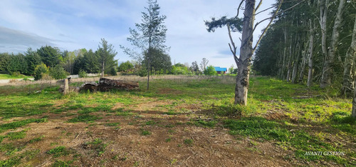 Venta Parcela Robles De Pilauco Osorno (127903)