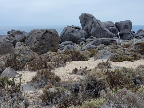 Terreno Con Playa Natural En El Arrayán Costero, La Serena