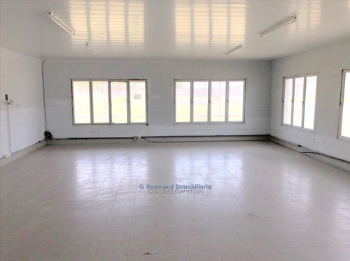 Locales De 9832m2 - A Metros De Ruta 8