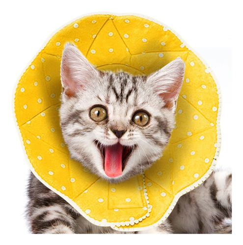 Sungrow Pet Cute Cone Comfy  Collar De Recuperacion Sin Estr