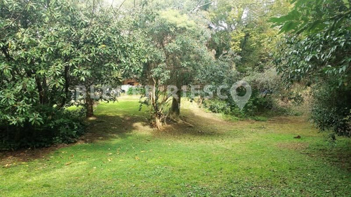 Terreno Lote En Venta Ubicado En Acassuso, Zona Norte