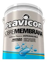 Comprar Sobre Membrana Plavicon Impermeabilizante Lluvia Techos 20kg