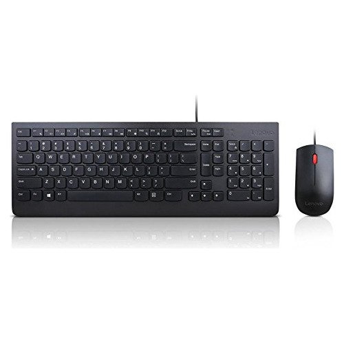 Lenovo Essential Wired Keyboard Y El Mouse Combo  Us Inglés
