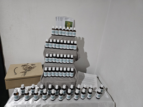 Kit Flores De Bach 56 Frascos + Curso Para Ser Terapeuta