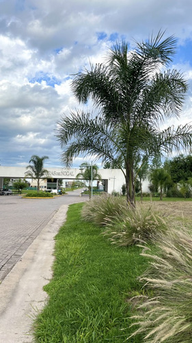 Terreno En Venta Praderas Del Nogal, Los Nogales