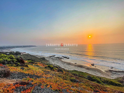 Orilla De Playa, Vista - Cachagua, Laguna De Zapallar