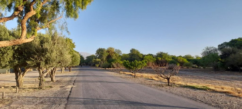 Terreno En  Venta En Estancia De Cafayate 