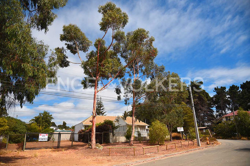 Terreno En Algarrobo Central
