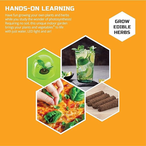 Discovery Kids Diy Stem Kit De Jardinería Acuática Interior