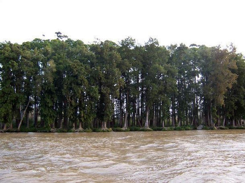 Imagen 2 de 5 de Casi Lindero Al Puerto De Escobar Con Camino.