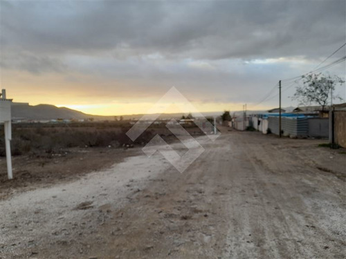 Imagen 3 de 5 de Industrial En Arriendo En Coquimbo
