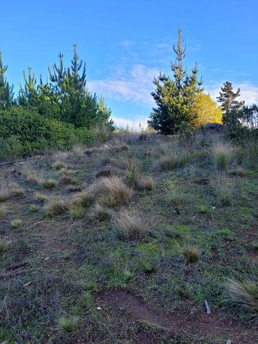 Terreno Ubicado A Menos De Un Kilometro De Algarrobo Centro