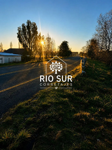 Campos 5 Ha Trapi Rio Bueno