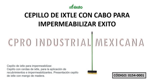 20 Cepillos De Ixtle Con Cabo Para Impermeabilizar Exito