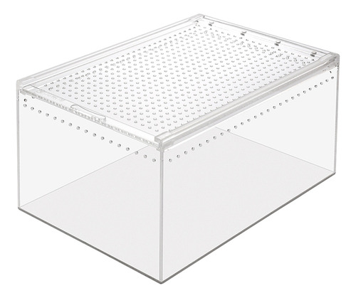 Caja De Alimentación Para Reptiles Hermit Crab Tank