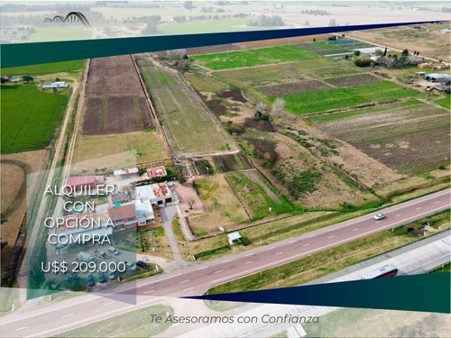 Chacra Y Vivienda!! Alquiler Con Opción A Compra.