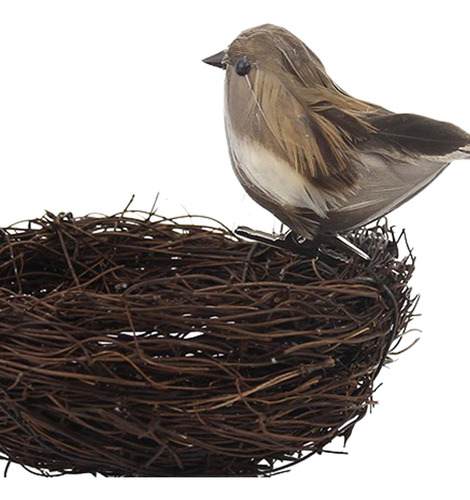 Naturaleza Nido De Pájaro Artificial Con Huevos Jaula Gris