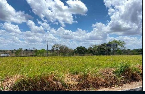 Imagem 2 de 3 de Lot Prive Campo Grande - Oportunidade Única Em Limoeiro - Pe | Tipo: Terreno | Negociação: Leilão | Situação: Imóvel Desocupado - Cx10012136pe