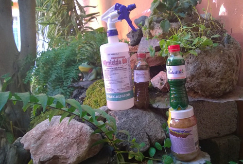 Aceite Neem, Bacillus Subtilis, Jabón Potásico Y Atomizador
