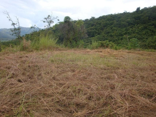 Imagen 14 de 18 de Terreno En Venta En Colinas De Guataparo Valencia Carabobo 22g8223 Gerardo Guillén Rentahouse