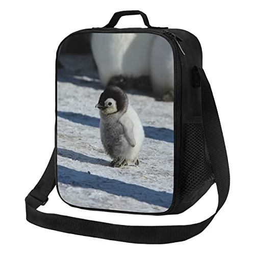 Cute Pingüinos Almuerzo Caja De Picnic Bolsas Animal W62vr