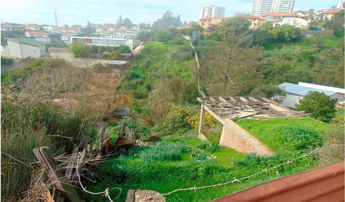 Región Valparaiso (73811)