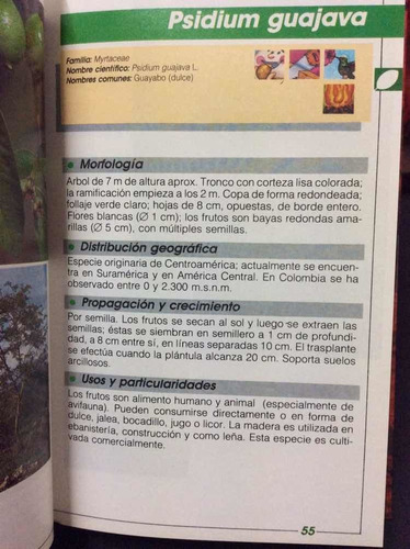 Imagen 9 de 9 de El Manto De La Tierra: Flora De Los Andes Car