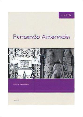 Pensando Amerindia 2º Edicion, De Sondereguer, Cesar., Vol. 1. Editorial Nobuko/ Diseño, Tapa Blanda, Edición 2 En Español, 2008