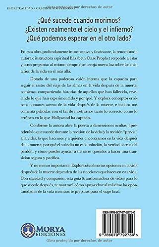 Libro: La Vida Después De La Muerte - Tapa Blanda