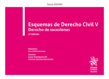 Libro Esquemas De Derecho Civil V - Vv.aa.