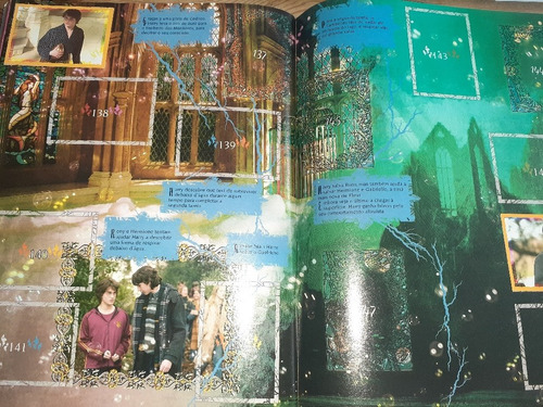 Álbum De Figurinhas - Harry Potter E O Cálice De Fogo. (Usado)