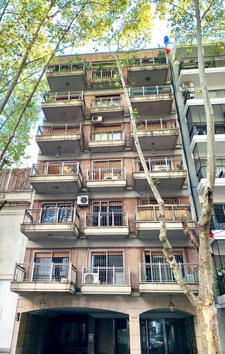 Imagen 13 de 14 de Departamento - Belgrano
