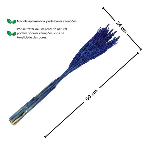 Planta Seca Flor De Milho Azul 60 Cm