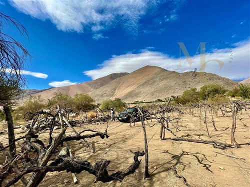 Imagen 2 de 6 de Sitio En Venta En La Serena