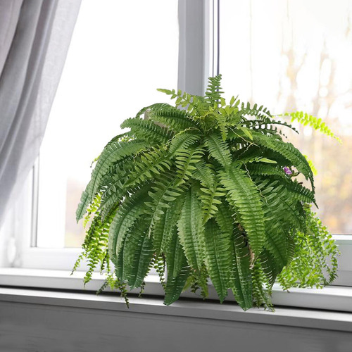 Helecho Artificial Plantas De Helecho Artificial Helecho Art