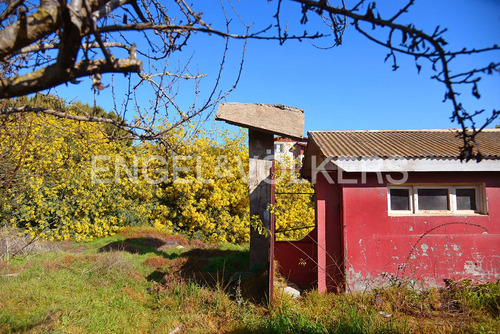 Arriendo Terreno Comercial Las Cruces.
