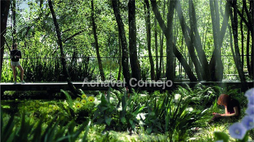 Imagen 11 de 20 de Puertos Escobar - Nativas - Nuevo Lanzamiento ! Lote En Venta.