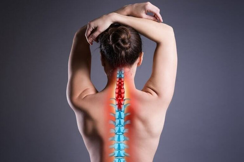 Imagen 9 de 10 de Masajeador Cervical Lumbar Shiatsu Calor Masajes Relajantes