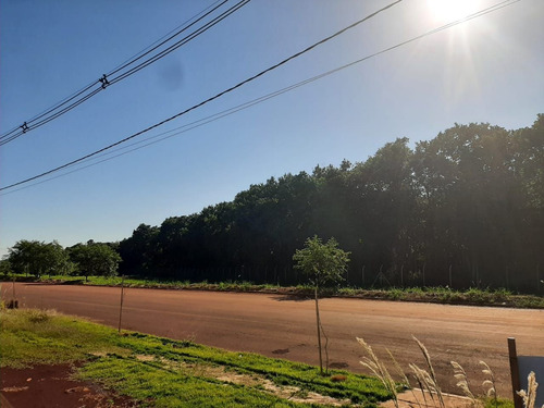 Imagem 3 de 5 de Terreno À Venda, 250 M² Por R$ 25.000,00 - Parque Da Lagoa - Foz Do Iguaçu/pr - Te0470