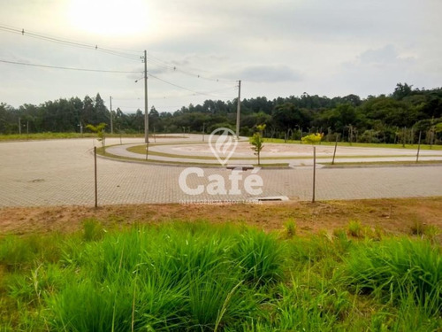 Imagem 4 de 30 de Terreno 12 X 30 Metros Real Park - 2553