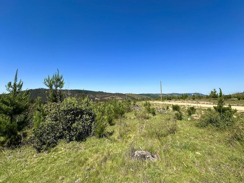 Parcelas En Vichuquén Al Lado De Laguna Torca Y Playa Llico