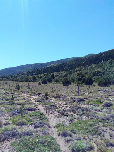 Venta De Lote En Lolog, Junin De Los Andes, Neuquén