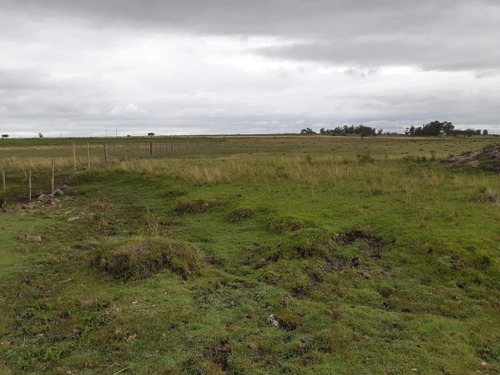 Imagen 8 de 13 de Chacras De 3 Has En Venta En Ruta 40 Kilometro 92.500 A 17 Km De Tala Maravilla De Cañada Chury